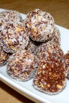 Protein Balls